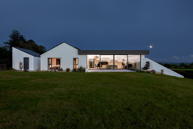 Design ideas for a contemporary house exterior in Cork.