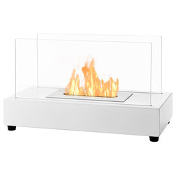 Contemporary Tabletop Fireplaces by Ignis Development, Inc.