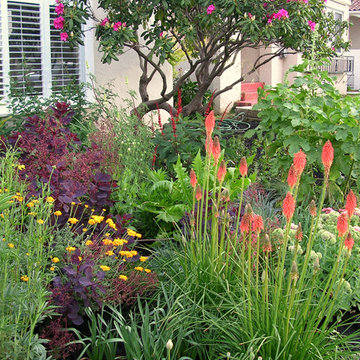 Experimental Garden