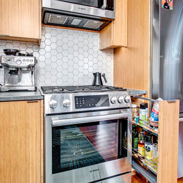 Hamilton Remodel