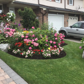 Garden With Bursting Colour