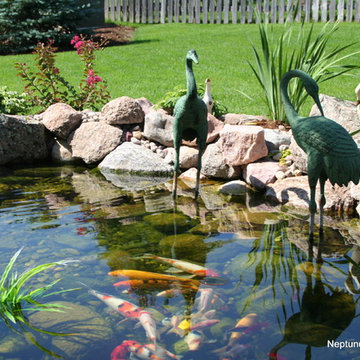 Koi Ponds and Water Gardens