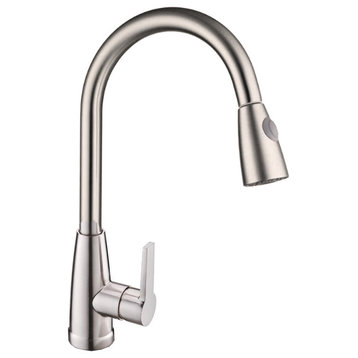 Vanity Art Pull Out Kitchen Faucet, Brushed Nickel