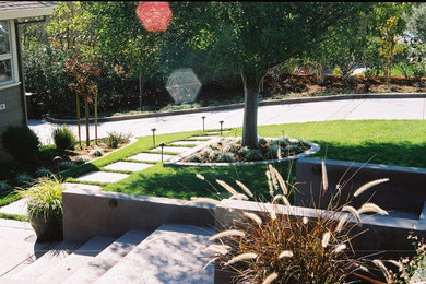 Photo of a contemporary landscaping in San Francisco.