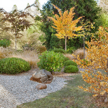 Jardin japonais - Japanese garden