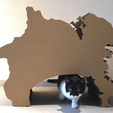 猫と人の幸せな暮らし：「福を招く猫」千葉ちゃんと〈猫と建築社〉の日常