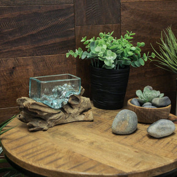 Rectangular Glass On Driftwood Decorative Bowl/Vase/Terrarium Succulent Planter