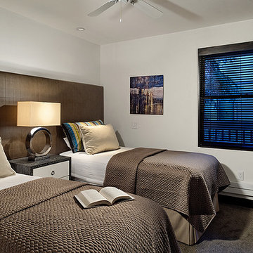 Gant Unit, Aspen Condo