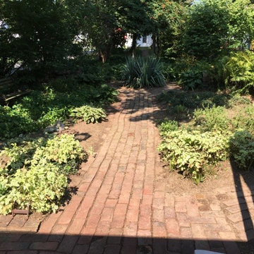 In search of the Natural Garden