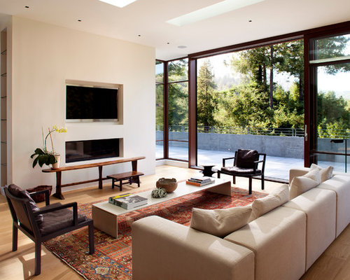 Recessed Fireplace | Houzz