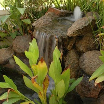 Water Features