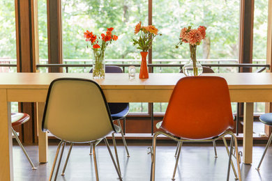 Design ideas for a midcentury dining room in Little Rock.