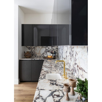 Bold and Monochromatic Kitchen in Houston