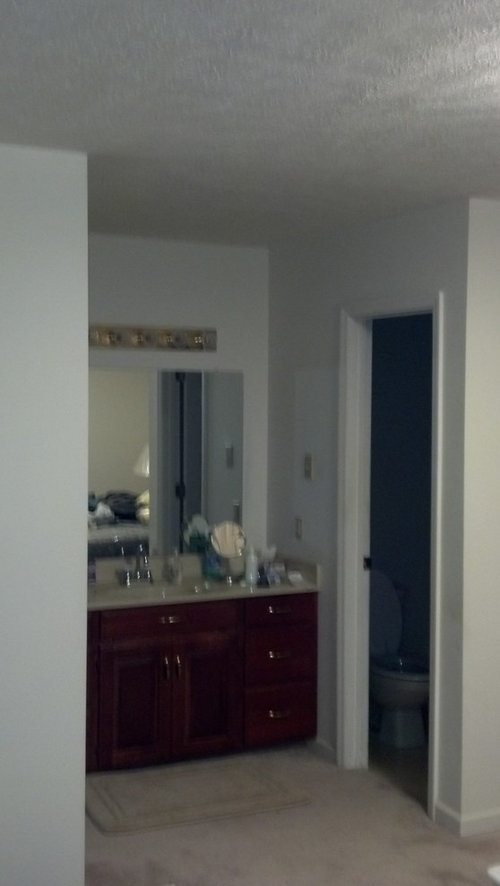 Ideas on how to separate bathroom vanity from master bedroom?