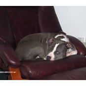 Jill Koslo's photo