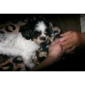Linda Boyd's photo