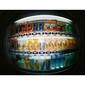 Alastair Morse's photo