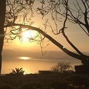 Photo de Sawsan Hamdokh