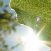 Kareen Reichenheim's photo