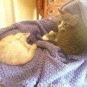 Belinda Waters-Culton's photo