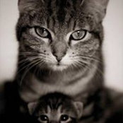 Lori Collins's photo