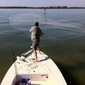 Patrick Duffy's photo