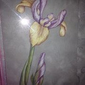 Christine Kenney's photo