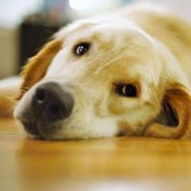 Yao Lu's photo