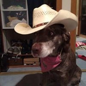 Tiffany Droege's photo