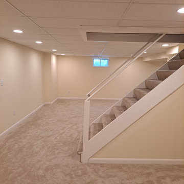 Basement Remodels