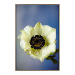 ANEMONE WALL ART &ndash; PETALS - NEW - Wall Decor