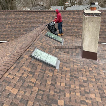 Domus Construction
