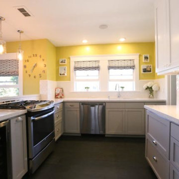 North Park Kitchen Renovation