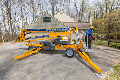 Chester County Tree Removal Using Aerial Lift Trucks
