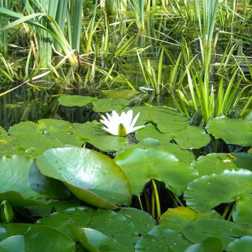 Gartenbau