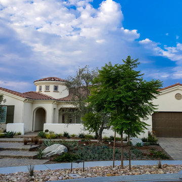 Drought Tolerant Front Yard