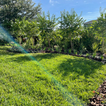 Front and Backyard Plant Bed Clean Out and Rejuvination Using Tough Plants