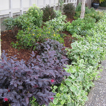 Contrasting Sidewalk Edge