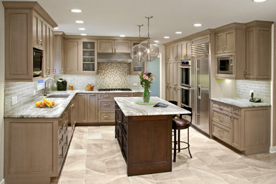 Kitchen - contemporary kitchen idea in Chicago