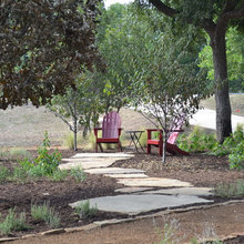 drought tolerant