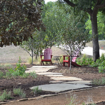 Drought tolerant and wildlife friendly front yard transformation