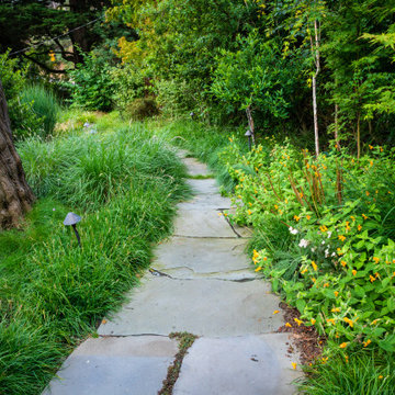 Grassy Meadow Oasis - Reduces Waste While Increasing Habitat
