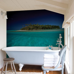 National Geographic Murals - Wall Decals