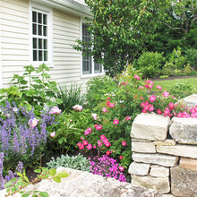 Garden and Landscape