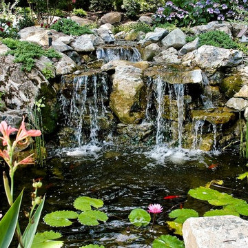 Landscaping is also for the birds (Long Island/NY):