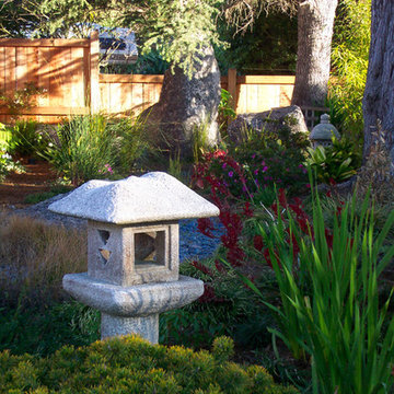 Japanese Garden Design and Installation