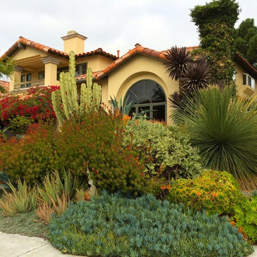 Front yard