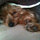 darcie_blackerby