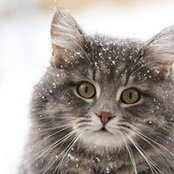 Vera Sergeeva's photo