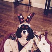 Debra Marziale's photo